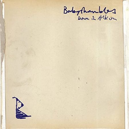 BABYSHAMBLES - DOWN IN ALBION - LP