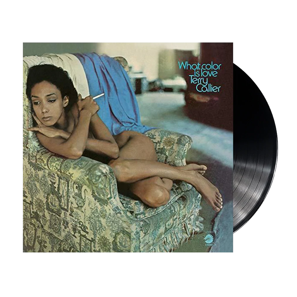 What Color Is Love (Terry Callier) 1973 VINYL 33 TOURS DISQUE VINYLE LP PARIS MONTPELLIER GROUND ZERO PLATINE PRO-JECT ALBUM
