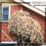 SURPRISE CHEF - DAYLIGHT SAVING - LP