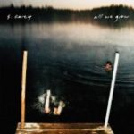S. CAREY - ALL WE GROW - LP