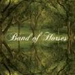 BAND OF HORSES - EVERYTHING ALL THE TIME - LP