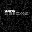 VETIVER - TO FIND ME GONE - LP