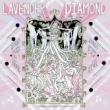 LAVENDER DIAMOND - IMAGINE OUR LOVE - LP