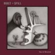 BUILT TO SPILL - YOU IN REVERSE - LP