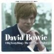 BOWIE, DAVID - I DIG EVERYTHING - LP