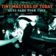 TINY MASTERS OF TODAY - BANG BANG BOOM CAKE - LP
