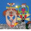 SUPER FURRY ANIMALS - HEY VENUS - LP