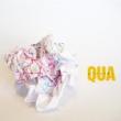 CLUSTER - QUA - LP