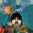 BADLY DRAWN BOY - IT'S WHAT I'M THINKING - LP