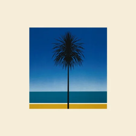METRONOMY – THE ENGLISH RIVIERA – LP