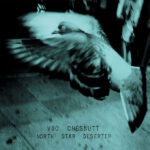 CHESNUTT, VIC - NORTH STAR DESERTER (2LP VINYLE 180GR + DL CODE) - LP