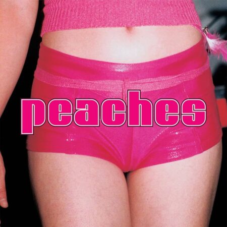 PEACHES - THE TEACHES OF PEACHES - LP