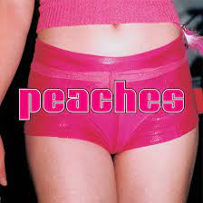 PEACHES - THE TEACHES OF PEACHES - LP