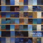 TINDERSTICKS - THE SOMETHING RAIN - LP