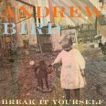 BIRD, ANDREW - BREAK IT YOURSELF - LP