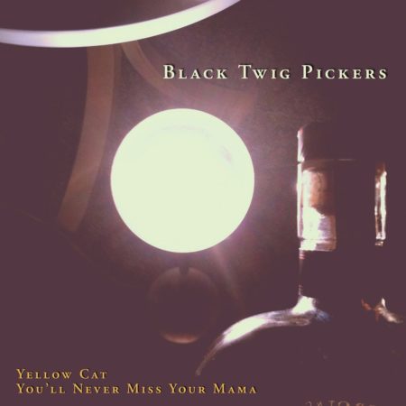BLACK TWIG PICKERS - YELLOW CAT - Ed Lim DD - 7''