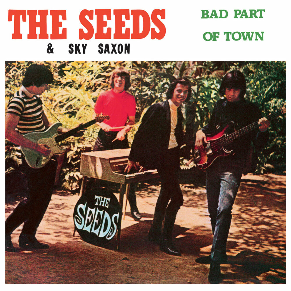 SEEDS & SKY SAXON - BAD PART OF TOWN - LP