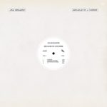 ANA ROXANNE - because-of-a-flower - VINYL 33 TOURS DISQUE VINYLE LP PARIS MONTPELLIER GROUND ZERO PLATINE PRO-JECT ALBUM
