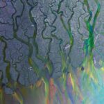 ALT J - AN AWESOME WAVE - LP VINYLE
