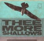 THEE MORE SHALLOWS - BOOK OF BAD BREAKS - LP