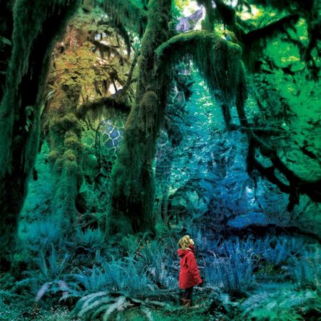 GARDNER, JACCO - CABINET OF CURIOSITIES - LP