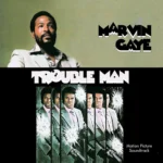 La BO du long métrage Trouble Man en 1972 est la seule que l’artiste américain Marvin Gaye composera dans toute sa carrière, mais elle reste l'une des musiques les plus remarquables des films de blaxploitation, courant culturel social du cinéma américain des années 70. La version vinyle est aujourd'hui rééditée. Ce genre cinématographique avait la caractéristique d’être fabriqué par des artistes noirs. Il mettait en avant des héros noirs pour un public afro-américain. Au début des années 70, ces films privilégiaient l’action, les histoires de détectives, de drogue et de sexe. Le tout sur des bandes-son de grande qualité mêlant soul, funk, et jazz. La BO la plus connue de blaxploitation reste celle du film Shaft, composée par Isaac Hayes en 1971.