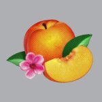 PHOENIX - BANKRUPT - VINYLE