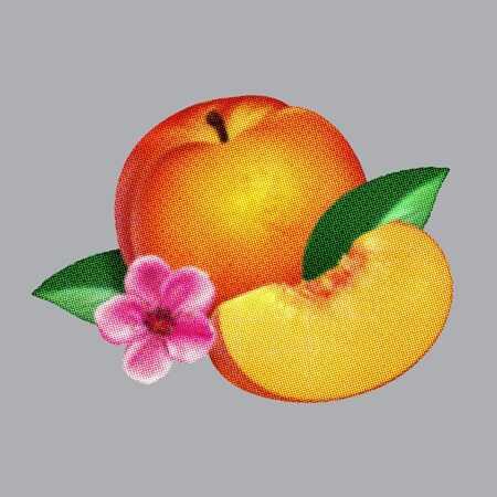 PHOENIX - BANKRUPT - VINYLE