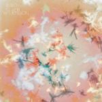 BIBIO - SILVER WILKINSON - LP