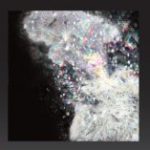 SHIKO SHIKO - BEST NEW BESTIOLES - LP