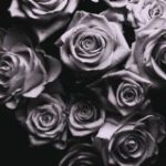 ZOMBY - WITH LOVE - LP