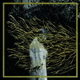 FOREST SWORDS - ENGRAVINGS - LP