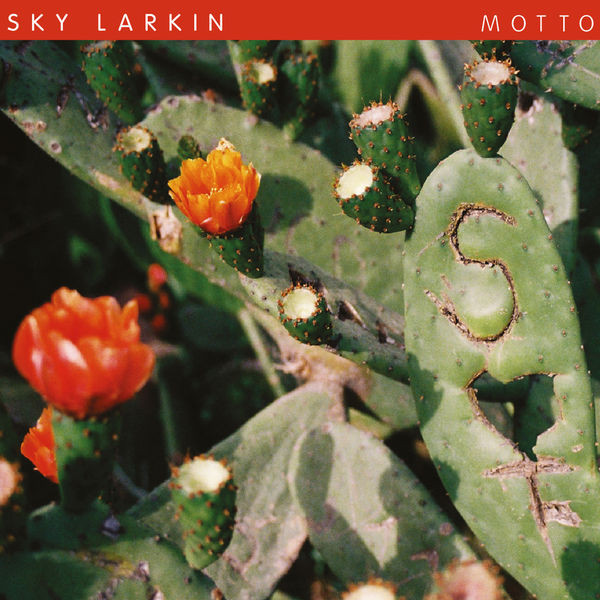 SKY LARKIN - MOTTO - LP