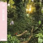 WHITE, MATTHEW E. - OUTER - LP