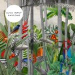 ALOA INPUT - ANYSOME - LP