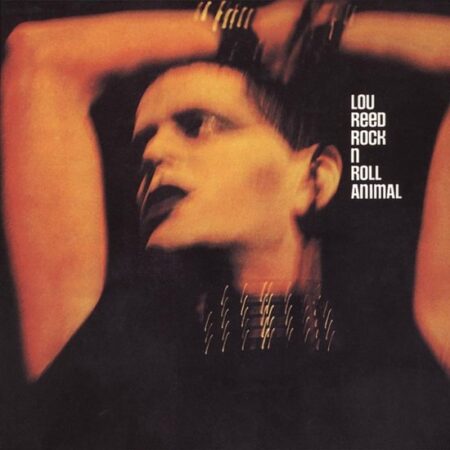 Dans la belle galerie des albums live de légende, Rock’n’Roll Animal de Lou Reed est sans conteste un des plus grands. Un incontournable du genre, mainte fois cité, toujours adulé et rarement égalé. Avec ce brûlot d’un autre temps, on a affaire à une captation en tout point remarquable, que ce soit en termes de son, de spontanéité, d’intensité, de virtuosité, de magnétisme ou tout simplement de magie rock’n’roll. On a beau tourner la chose dans tous les sens, à l’arrivée, c’est un disque proche de la perfection qu’il est impossible d’ignorer. Et si d’aventure, un esprit candide vous demande de lui expliquer la musique rock, je crois (en fait non, j’en suis absolument certain), que vous avez là, la quintessence de ce qui se fait de mieux en la matière. La planète Rock n’est pas forcément belle, ni même gentille, elle peut être le théâtre d’excentricités, de vilains dérapages et convient parfaitement aux marginaux, aux non-conformistes, à tous ceux qui ne rentrent pas dans le moule et qui n’écoutent pas toujours la voix de la raison. Du pur Lou Reed en fait. Nous sommes en 1973 et malgré la belle percée populaire de Transformer et de son tube « Walk On The Wild Side », notre gars de Brooklyn, qui touche enfin à la célébrité, va opérer un virage artistique pas vraiment bien accueilli par sa maison de disque. Son projet Berlin n’est pas du goût de RCA et sera même une grosse déception chez des fans légèrement déboussolés. Qu’à cela ne tienne, à cette époque, Lou Reed est seul et comme le dit très bien Bruno Blum dans son livre Electric Dandy : « Un Lou Reed Seul est un Lou Reed en mauvaise compagnie ». Ce proche d’Andy Warhol n’en fait qu’à sa tête et pratique l’Art à sa manière, celle des vrais créateurs et des visionnaires. Le ténébreux Berlin lui tient à cœur et ne verra le jour que grâce à la promesse d’un disque live à sortir juste après.