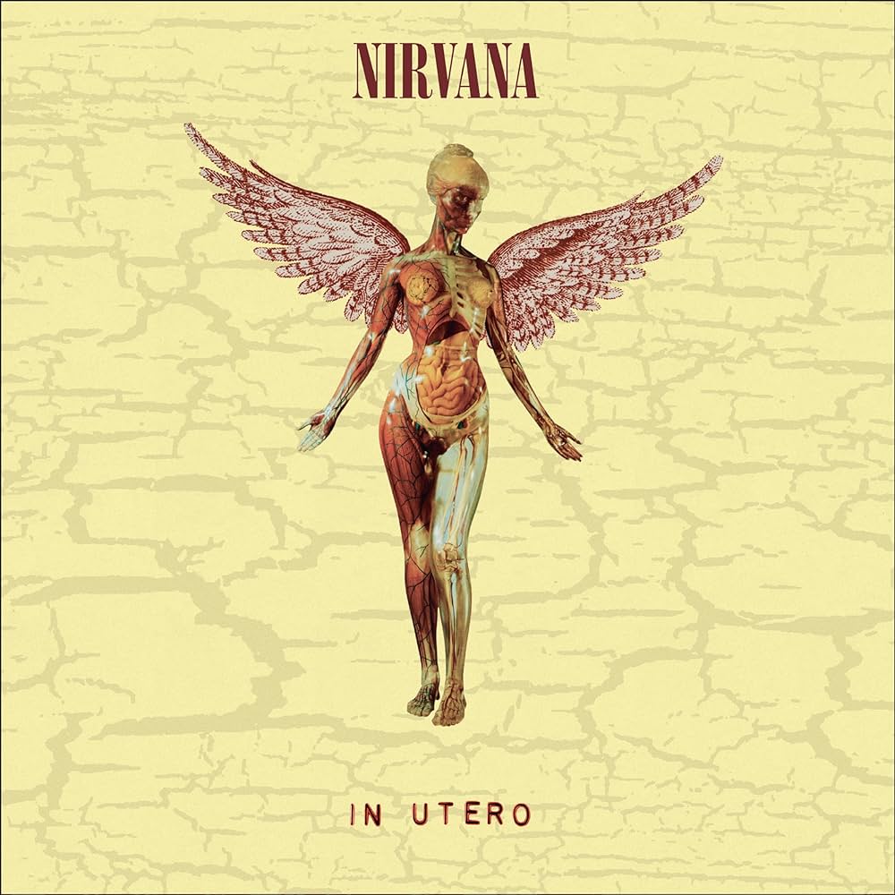 NIRVANA - IN UTERO (30TH ANNIVERSARY EDITION LP + 25 CM) - LP