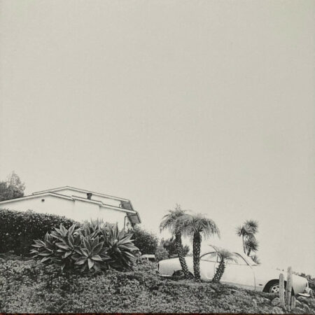 TIMBER TIMBRE - HOT DREAMS - LP