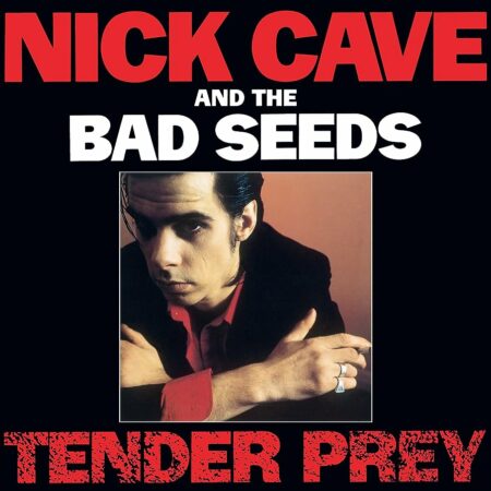 Nick Cave & The Bad Seeds - Tender Prey - LP