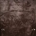 BECOMING REAL - PURE APPARITION - LP