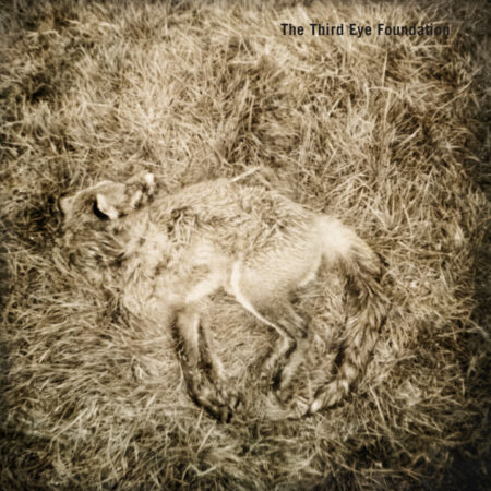 THIRD EYE FOUNDATION - SEMTEX (20Th ANNIVERSARY EDITION) - LP