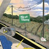 FRANKIE COSMOS - NEXT THING - LP