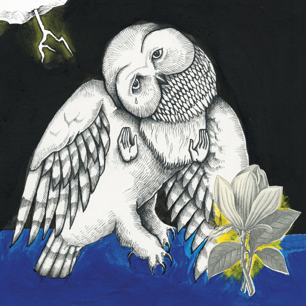 SONGS : OHIA - THE MAGNOLIA ELECTRIC CO. - 10TH ANNIVERSARY DELUXE ED - LP