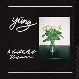 YUNG - A YOUTHFUL DREAM - LP
