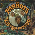 PARROTS, THE - LOS NINOS SIN MIEDO - LP