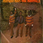 MAYTALS - MONKEY MAN - LP
