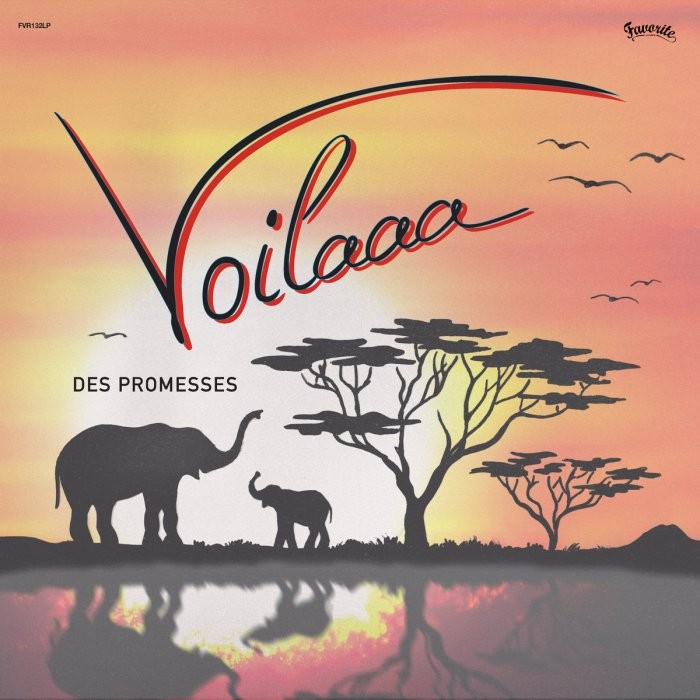 VOILAAA - DES PROMESSES - LP