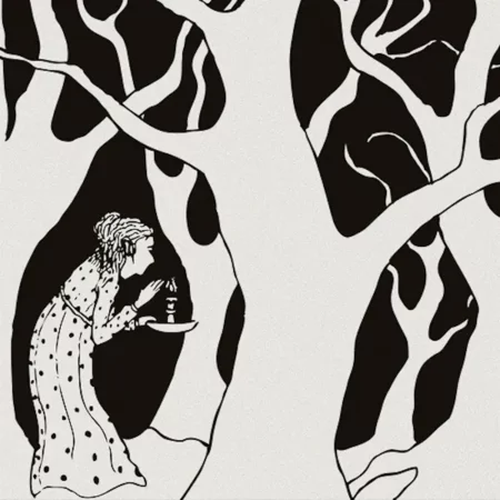 SHADOW BAND - WILDERNESS OF LOVE - LP