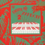 V/A - DIGITAL ZANDOLI 2 - LP