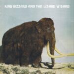 KING GIZZARD & THE LIZARD WIZARD - POLYGONDWANALAND - LP